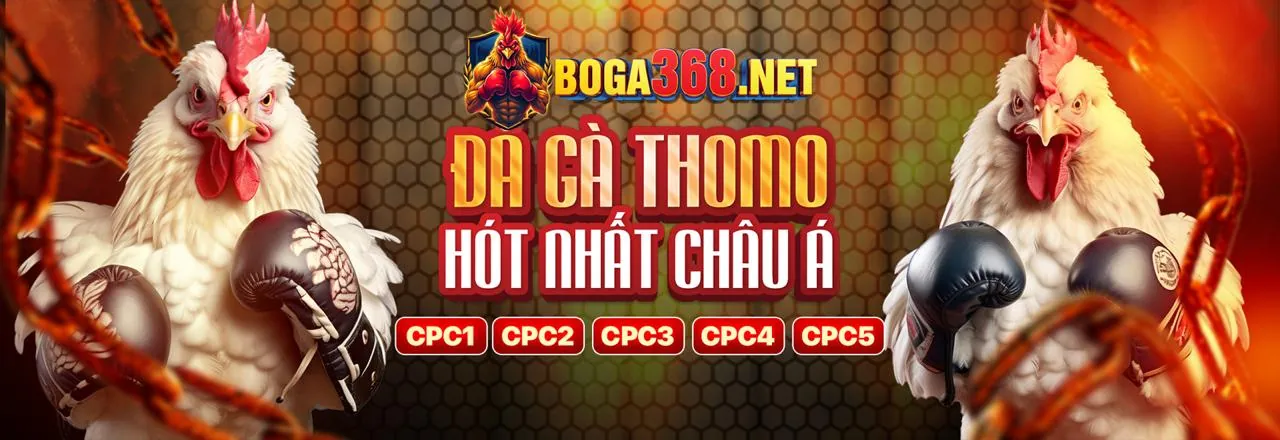 Quy trình tham gia VIP JN88